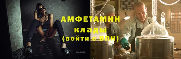 гидра Арсеньев