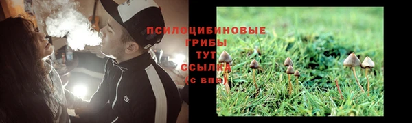 гидра Арсеньев