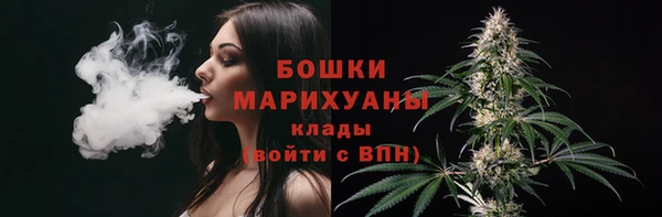 гидра Арсеньев