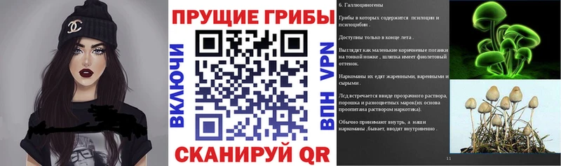 мориарти клад  Бронницы  Псилоцибиновые грибы GOLDEN TEACHER 